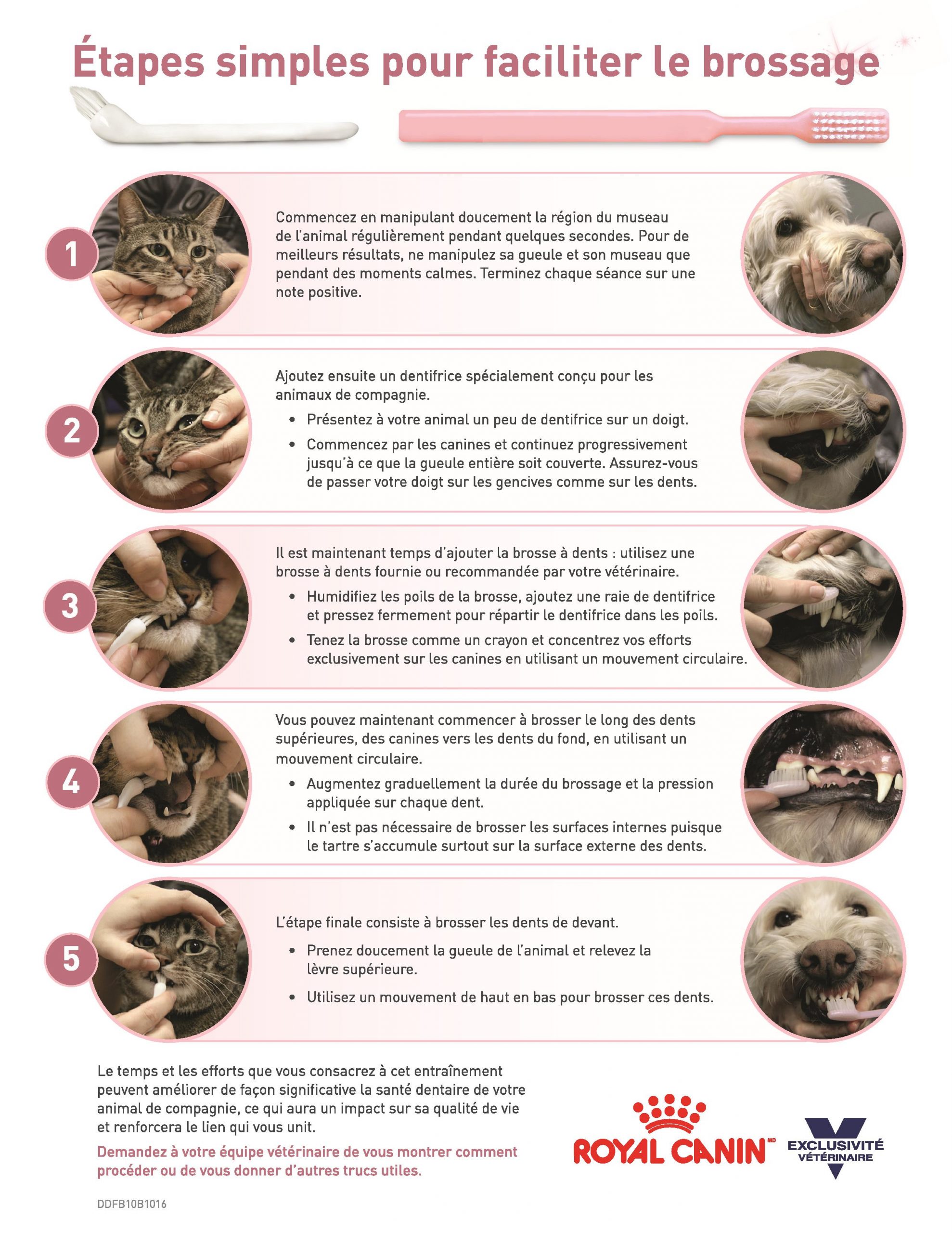 Soins dentaire - Royal Canin