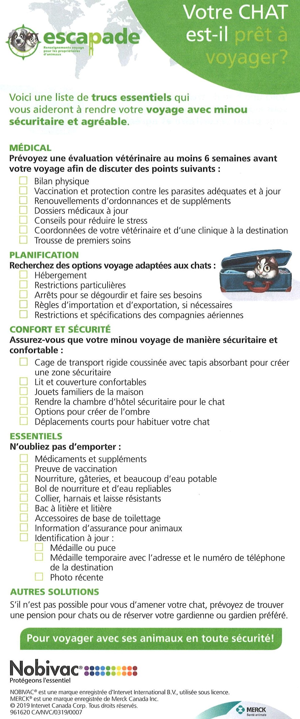 Vacances - votre chat est-il prêt à voyager
