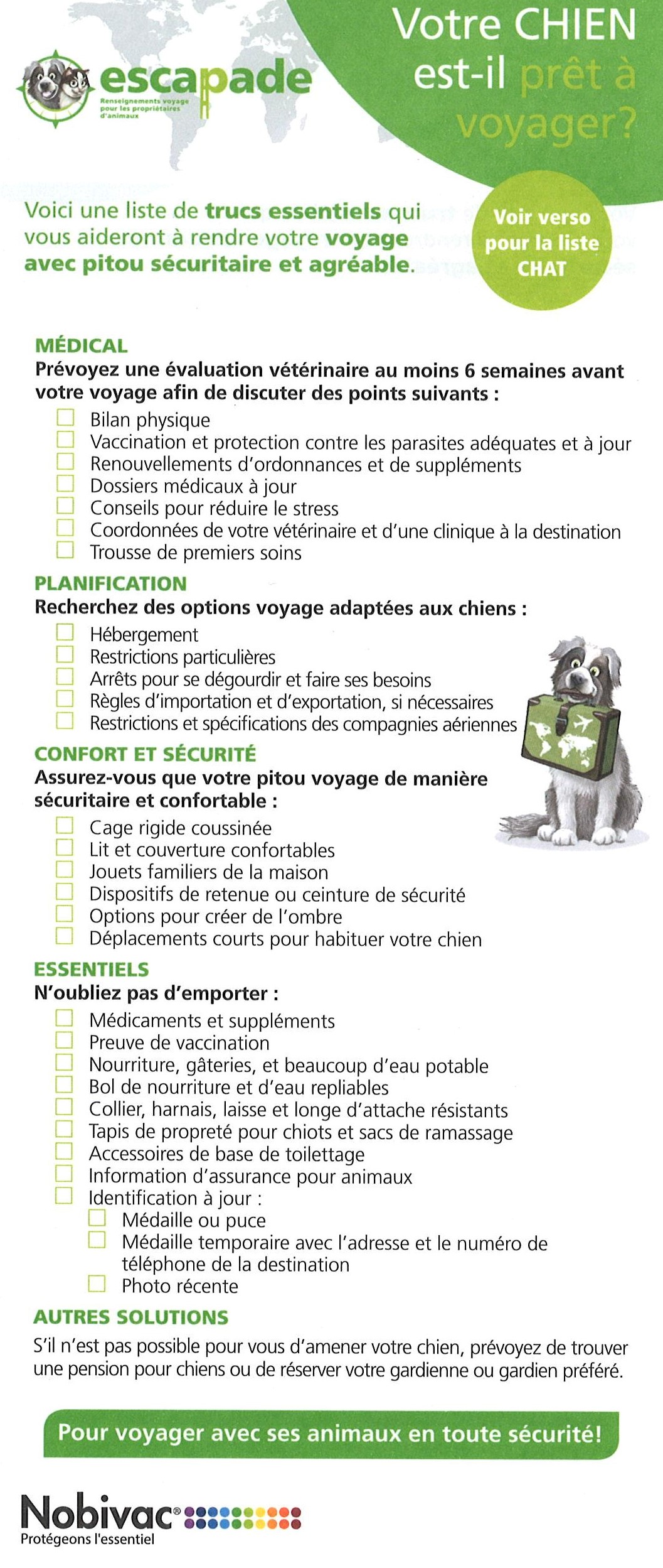 Vacances - votre chien est-il prêt à voyager